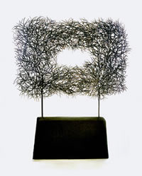 3 dimensional