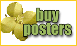 Buy Mustard Festival Posters Online